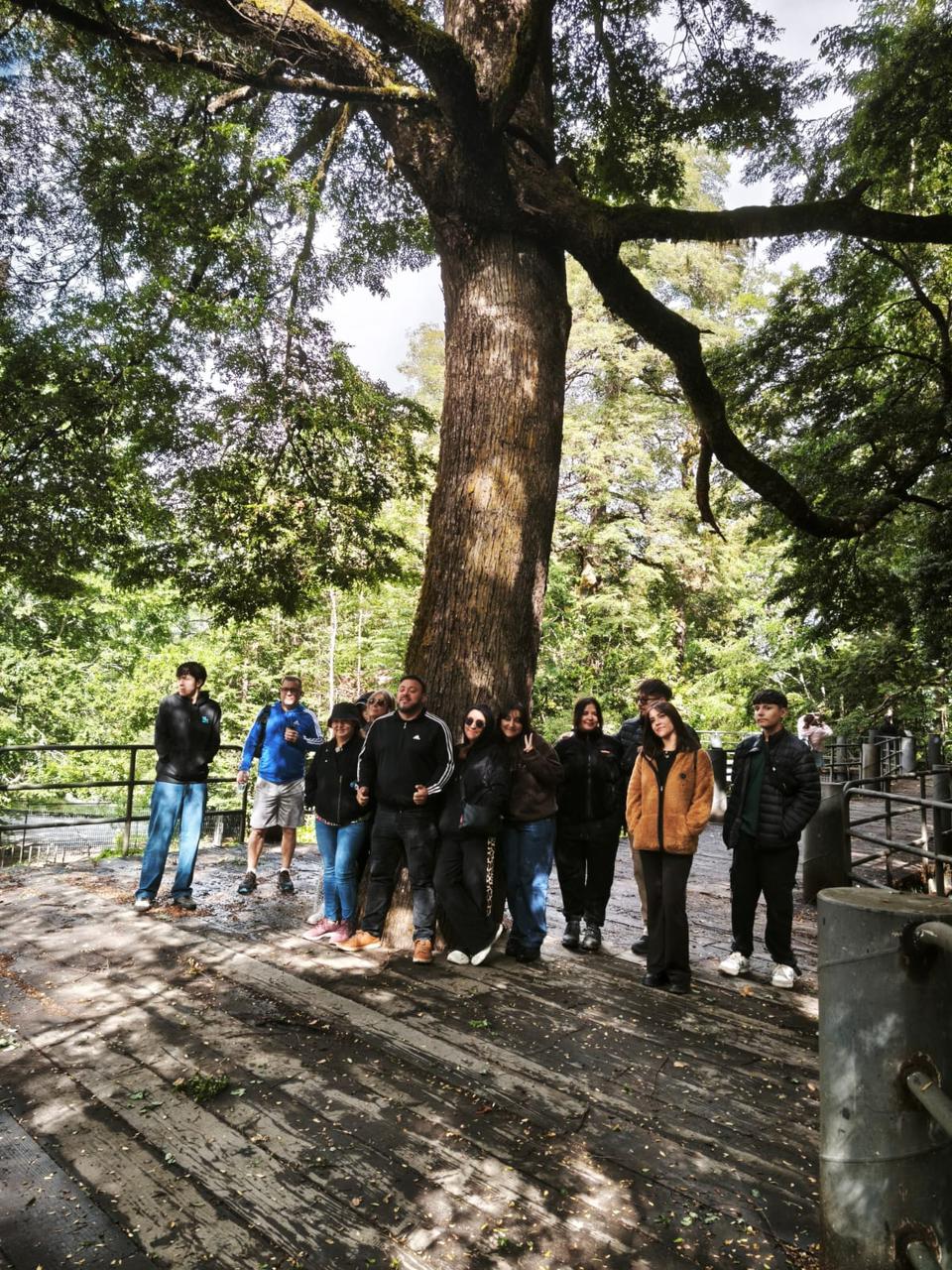 Viajeros junto a una cascada