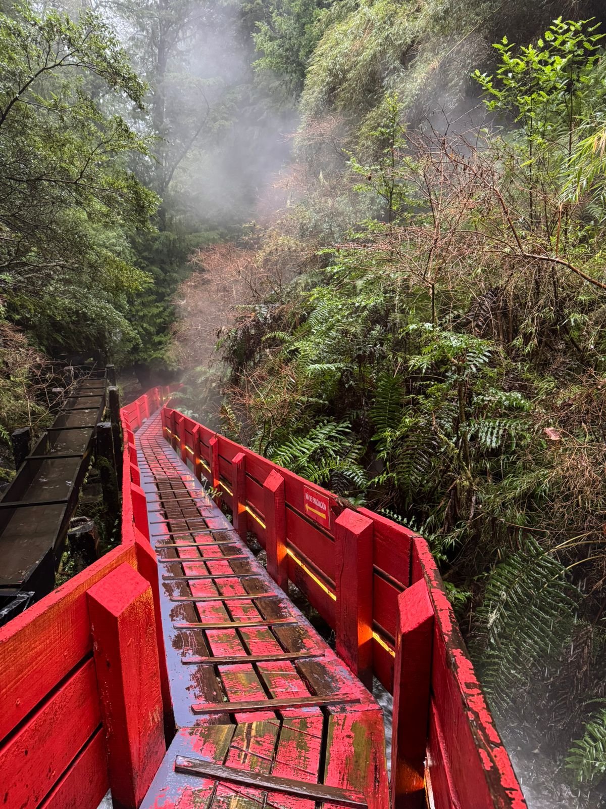 Termas Geométricas