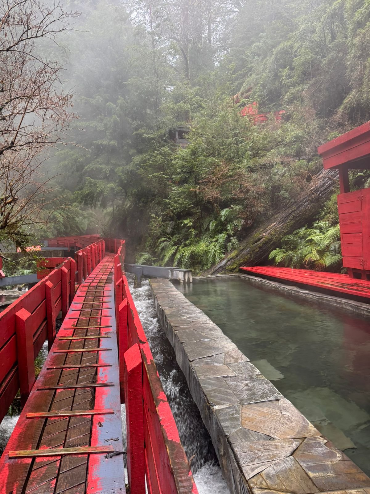 Termas Geométricas