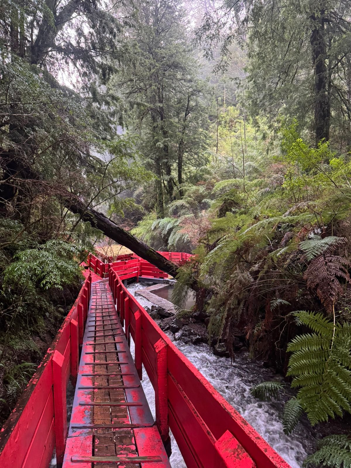Termas Geométricas