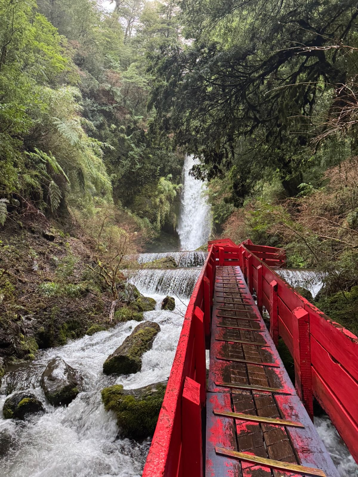 Termas Geométricas
