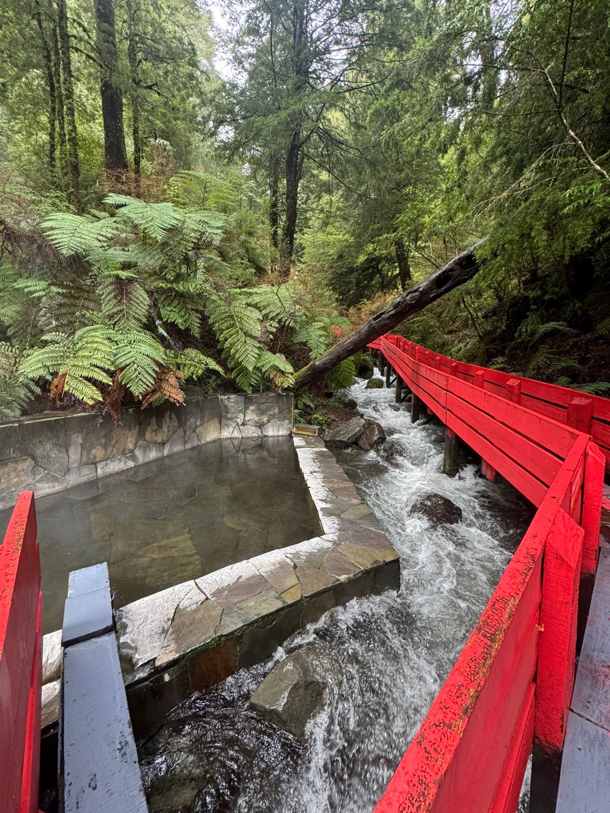 Termas Geométricas