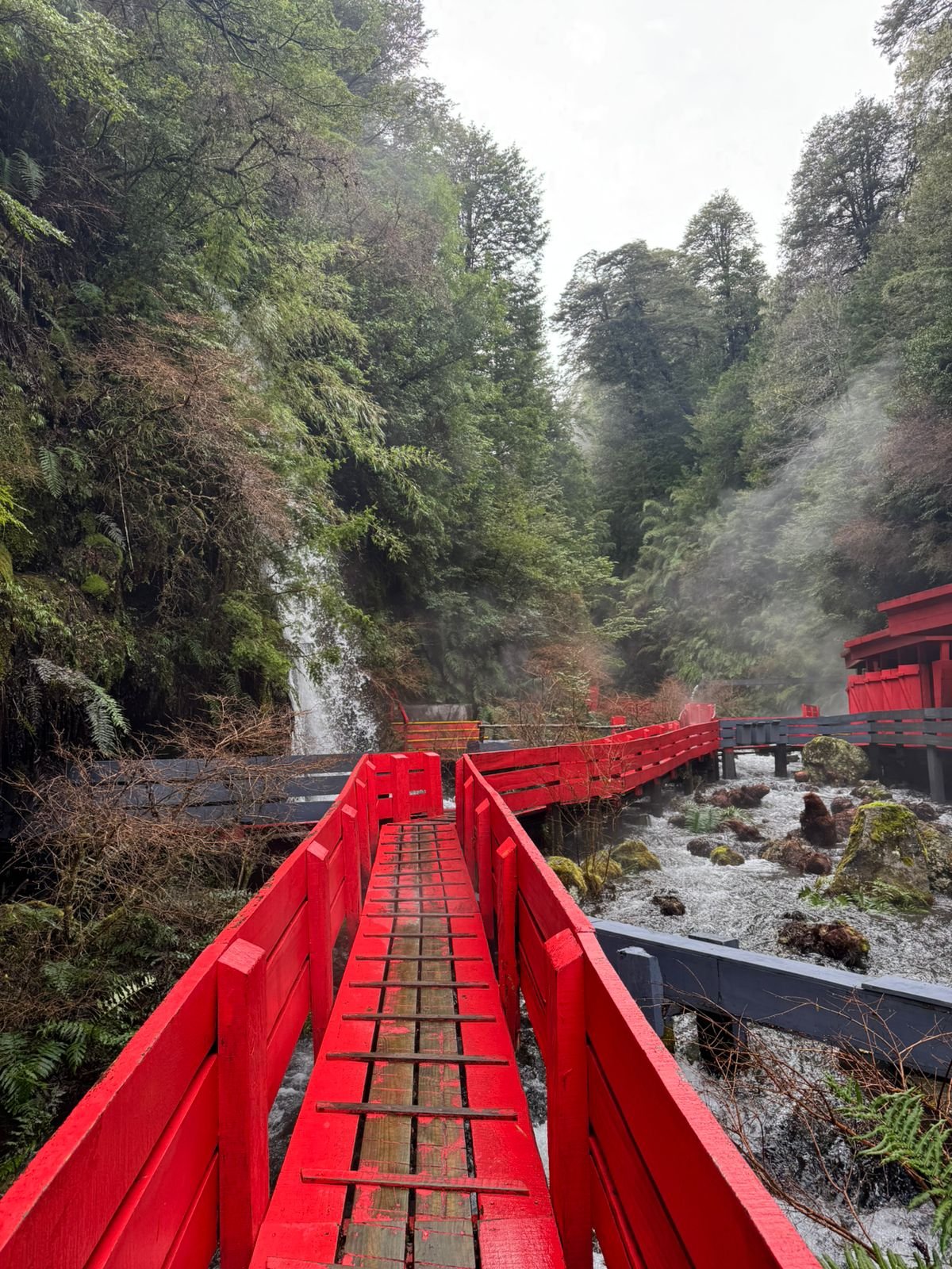 Termas Geométricas