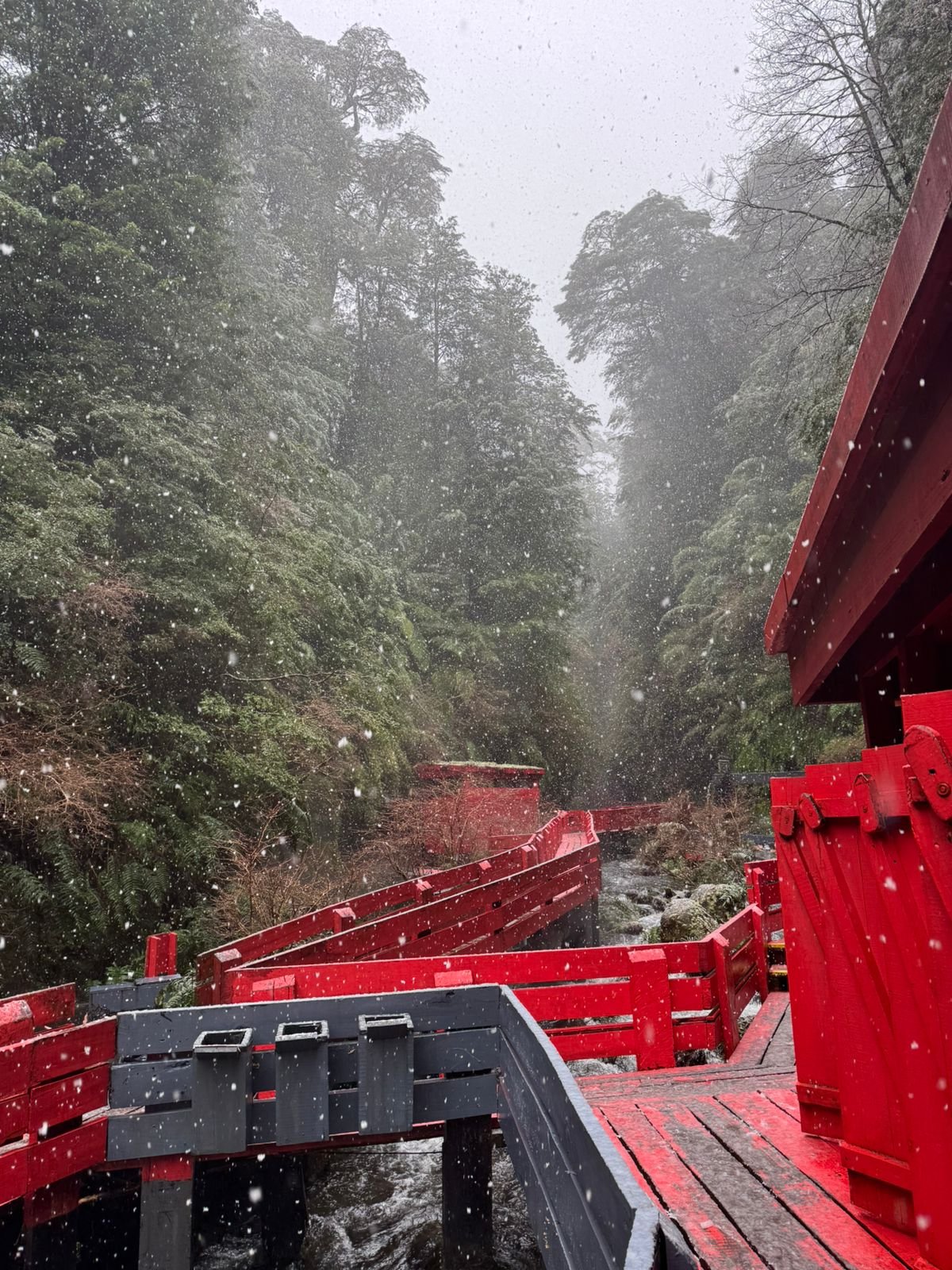 Termas Geométricas