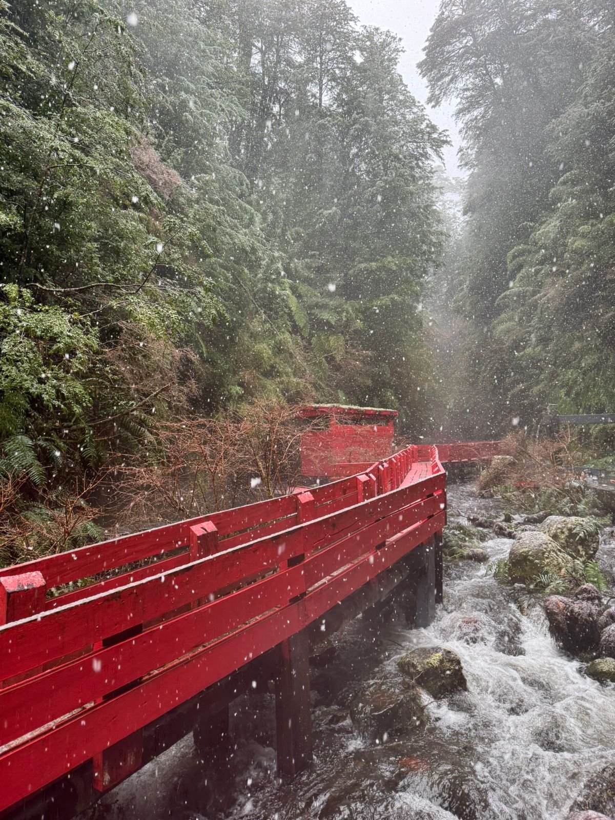 Termas Geométricas