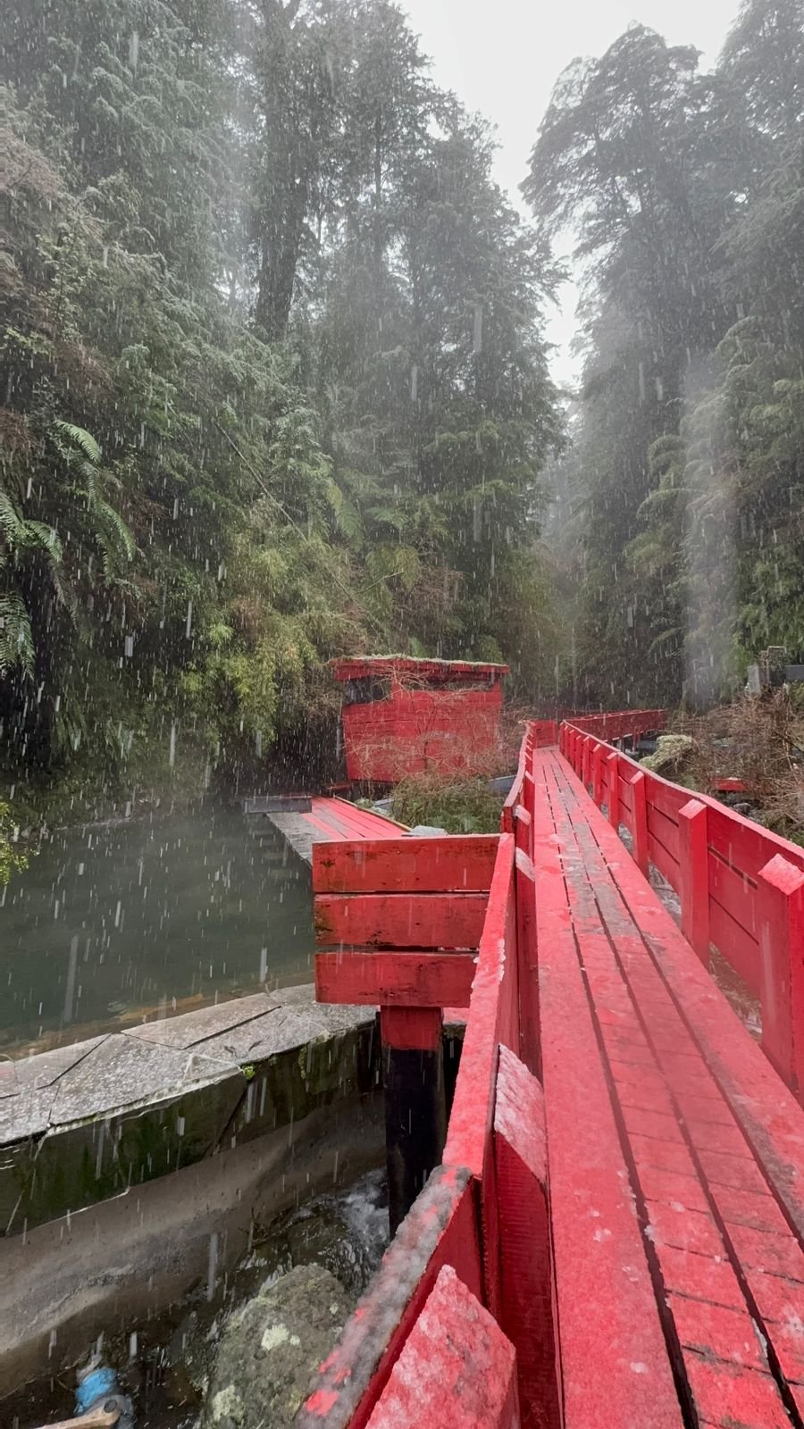 Termas Geométricas